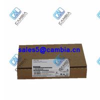 Original New Siemens Supply 6SL3210-1KE13-2UF2